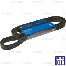 Linea Kanallı V Kayışı Dayco 55203815