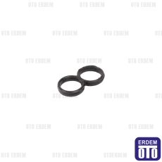 Renault Clio 5 Talisman Karter Contası 