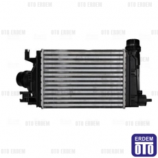 Renault Taliant H4D 1.0 TCe Turbo Radyatörü İntercooler 144968819R - 3